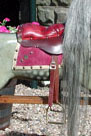 Traditional Wooden Rocking Horse restored antique FH Ayres from The Ringinglow Rocking Horse Company